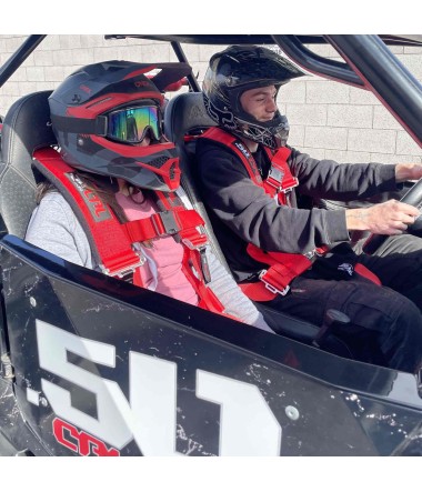 harness installed in polaris rzr