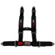black 4 point harnesses
