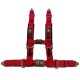 Red 3 inch 4 point harnesses