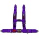 2" 4 point RZR Harness Purple