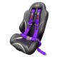 2" 4 point RZR Harness Purple with seat
