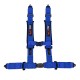 2" 4 point Harness blue