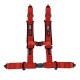 2" 4 point Harness Red