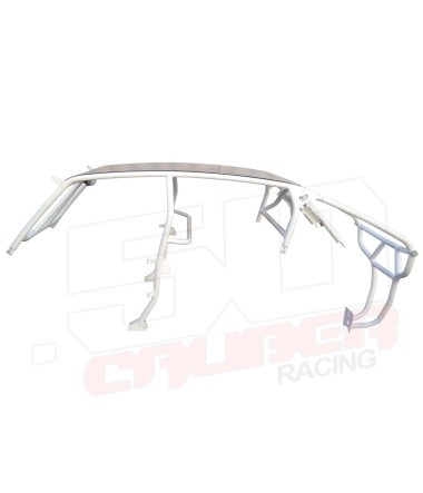 Yamaha Rhino 4 seat Roll Cage with Alimunum roof and visor