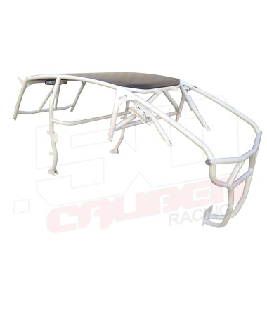 xp1000 white radius cage 4 inch lower rear angle view