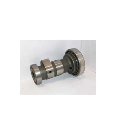 Performance Camshaft