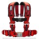 RED - 2" 4 point Harness Seat Belt 50 Caliber Racing