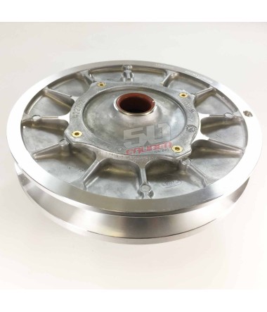 Genuine OEM Polaris clutch