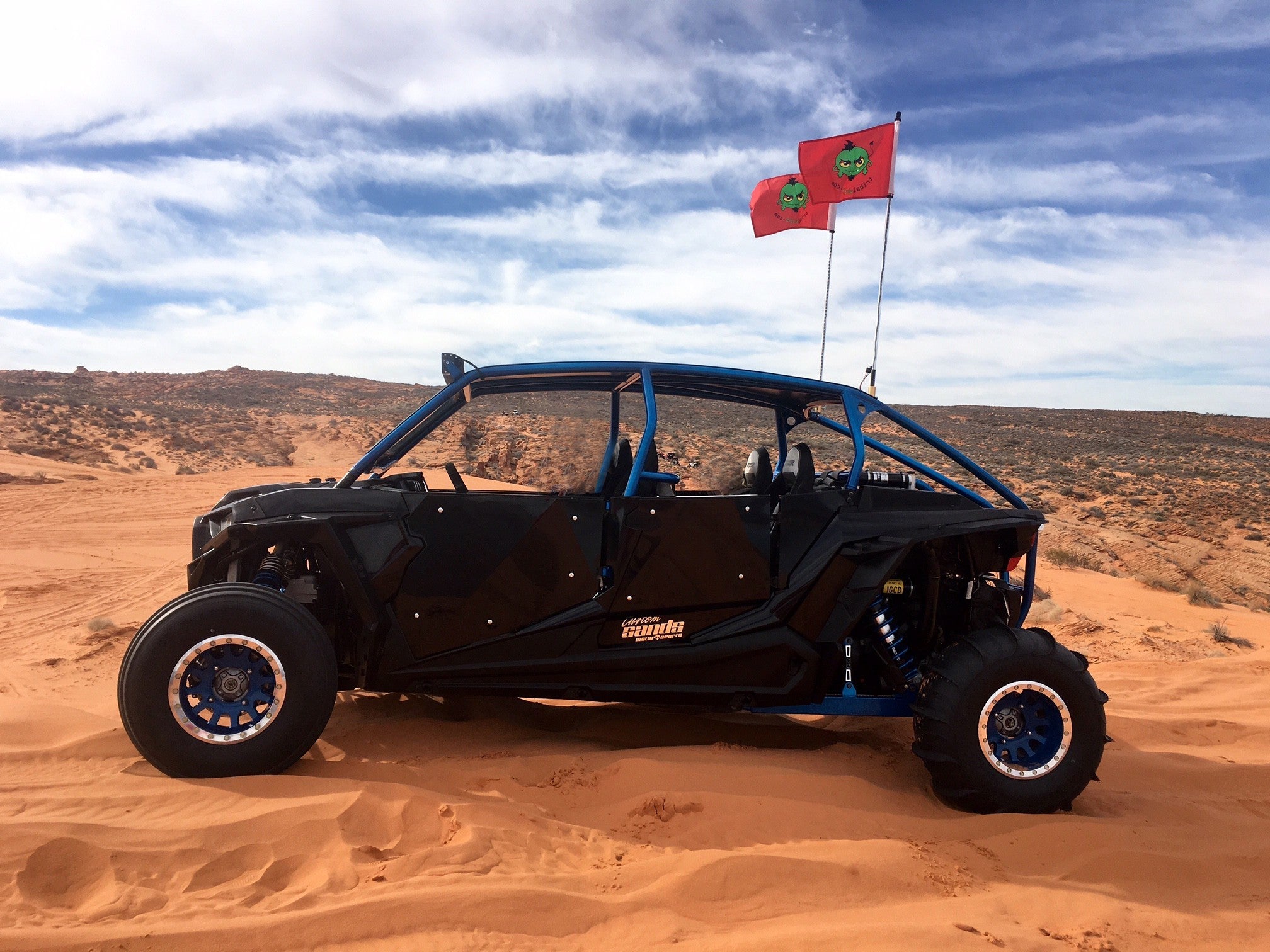 RZR4 Pro Race Roll Cage 5" lower than stock height