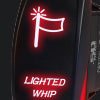 Lighted Whip