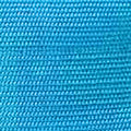 ELECTRIC BLUE